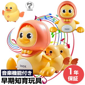 yr[CxgJÒzԂ  cAq mߋ xr[ XCO Ԃ  Aqe }}1H 0 mߋ xr[ nCnC