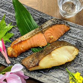 【 母の日 早割り600円off】 感動の 西京漬け ギフト 人気の2種6切れ 詰め合わせ 送料無料 ギフトセット 西京焼き 焼き魚 内祝い お取り寄せ 漬け魚 干物 銀だら 煮魚 贈り物 贈答用 誕生日 プレゼント 減塩 真空パック プレゼント 食品 食べ物 御歳暮 お年賀 おせち料理