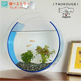 【日本製】Bond アクリル水槽 アクリル製 透明 クリア 観賞魚 めだか 金魚 ベタ 丸型 めだか鉢 水草 アクアリウム 水槽 インテリア おしゃれ かわいい 癒し 癒しグッズ 国産 サイズW370×D110×H363 容量5.5L