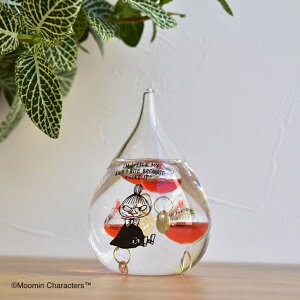 MOOMIN g~C KXt[gxv  ~C ~B [~ KIxv TCGX Ȋw k Vv i`  킢 ^ u G IuWF ObY v[