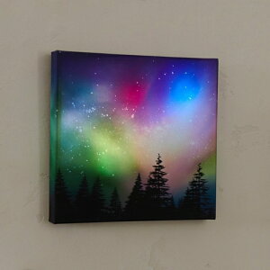 LED LoXA[g [ I[ 26×25.5cm     V _I A[gpl Ǌ| EH[fR[V ԐڏƖ [Cg iCgCg  킢 k V