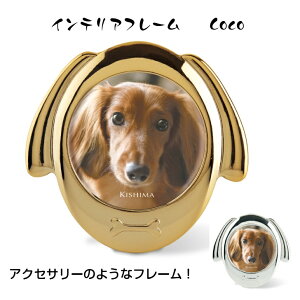 ʐ^ tHgt[   CeAt[ S[h Vo[  i ~j  CeA cu 茳{ `OTCY Mtg v[g j ybgAjo[