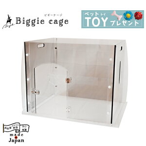 y{zBond ybgP[W  ^ ^ p q AN NA  Vv X^CbV hA  hAt bNt 蔲h~ Eh~ ȒPg T[N Q[W P[