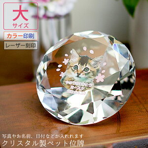 ybg ʔv wʐ^ybgʔv NX^ _Ch`xTCYECXg[iKP-22Ajye  { ʔv  ʐ^ bZ[W  ʐ^ J[ tHg KX 