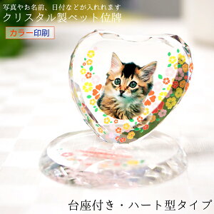 ybg ʔv wʐ^ybgʔv NX^ n[g`xtECXg[iKP-15jye  { ʔv  ʐ^ bZ[W X^ht  ʐ^ J[ tHg K