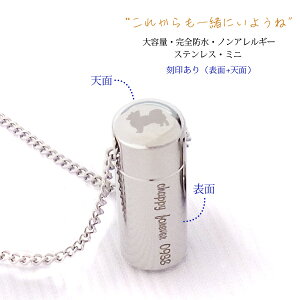 ⍜y_g Shw⍜y_g EBY XeX ~jx󂠂 (\ʂƓV)y茳{i  G \ Ay_g mAM[ XeX