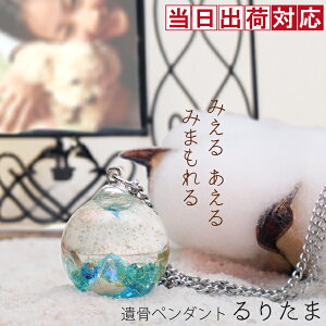 ⍜y_g ybg ʂKXANZT[̈⍜y_gw肽܁xiȂjymAM[ T[WJXeX`F[   킢 KX 