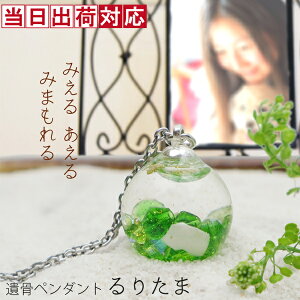 ⍜y_g ybg ʂKXANZT[̈⍜y_gw肽܁xGijymAM[ T[WJXeX`F[   킢 ꂢ 