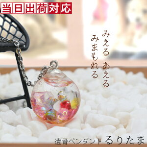 ⍜y_g ybg ʂKXANZT[̈⍜y_gw肽܁xiˁjymAM[ T[WJXeX`F[   킢 ꂢ K