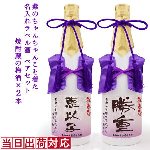  j  ~ yA{gŵ񂿂񂱂𒅂 ꃉxxV܏Ē̂~ 720ml×2{Zbgy񂿂񂱎 {g j  v[g  