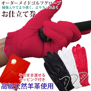 җj j v[g O CjVhJ̃StO[u wI[_[ChStO[u dČxv`iyPi bsOtzyMtg 