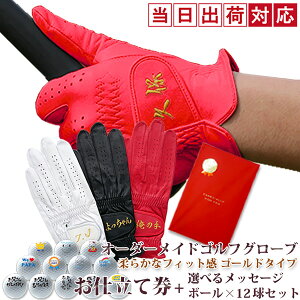 ސEj v[g jwI[_[ChStO[u dČxS[hySt{[12Zbg bsOtzyMtg N ސE NސE ފ LOi  l[