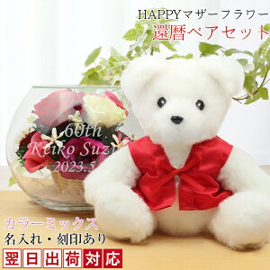 җj  v[g Ԃ񂿂񂱂𒅂wҗxAZbg HAPPY}U[t[xyR[XzJ[~bNX  bZ[WJ[hty񂿂񂱂җT