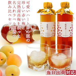 P Ď j  v[gwn[g`̕rɓ Ԃ~ōԂ~Ɗn썂~g ꃉx ~̈ݔ׃ZbgxyPj 80 c ΂