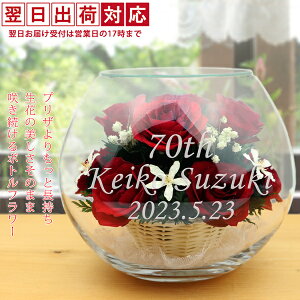 Ê j  vU[uht[ wHAPPY}U[t[xԐF ꂠ聄y1TԔR[Xz yvU KX   ԑ {gt[ Êj  70 