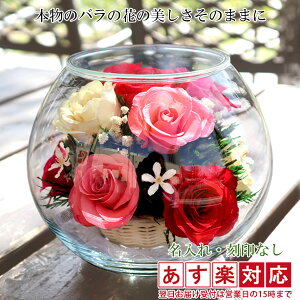 Ê j  vU[uht[ wHAPPY}U[t[xJ[~bNX ꖳ yvU KX ԑ {gt[  70 Ê̂j  70 v[g 