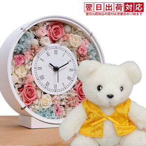 Ď j F񂿂񂱂𒅂efBxAwP ĎxAZbg TNXt[NbNxی^ ꂠ VtHJ[ bZ[WJ[htyPj 80 Ďj 8