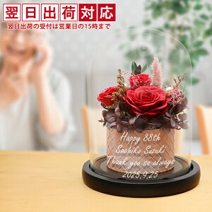 P Ď j  v[g ̏oKXh[twHAPPY\[vt[iꂠjxF񂿂񂱂ĎTVcv[gtyV{t[ ΂ A