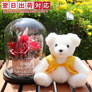 P Ď j  v[g F񂿂񂱂𒅂wPEĎxAƖ̏oKXh[t HAPPY\[vt[xꂠ聄y΂ V{t[ AW