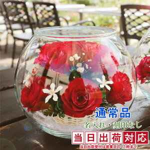 P Ď j v[g vU[uht[ wHAPPY}U[t[xԐF ꖳyPj 80 Ďj 88   c {gt[z