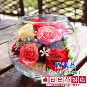 P Ď j vU[uht[wHAPPY}U[t[ J[~bNX ꖳyĎj 88 v[g   vU ΂  {gt[ c ΂