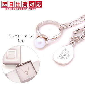 ސEj v[g  v[gɋLO̓t▼Oł܂ wp[ xr[Oy_gxyN ސE NސE ފ LOi   y_g ^ xr[O  