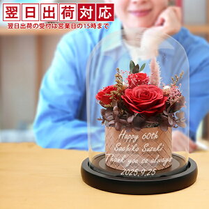 ސEj v[g  ̏oKXh[t\[vƃvU[uht[̃AWwHAPPY\[vt[xꂠ聄yN ސE NސE ފ LOi  i 