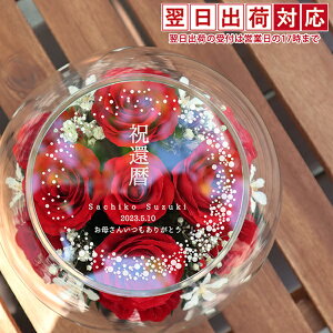 җj  v[g vU[uht[ wHAPPY}U[t[ Vʍx ԐF ꂠ聄 yҗ 60 60 61 a  ꂳ i o  ԑ KXP[