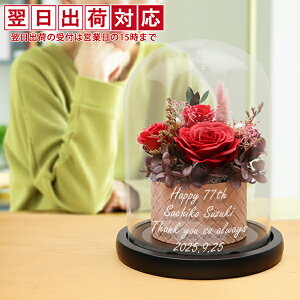  j  v[g ̏oKXh[twHAPPY\[vt[xꂠ聄yvU KX   ΂ AW ԑ vU[uht[ V{t