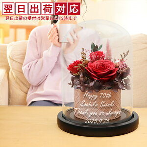 Êj   ̏oKXh[t\[vt[ wHAPPY\[vt[xꂠ聄yvU[uht[ KX   Ԃ΂ V{t[ AW 