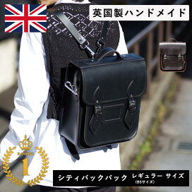 楽天市場】【30%OFFクーポン 6/11（木）1:59まで】【日本正規代理店 