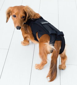 ［当日出荷］（送料無料）（anifull）わんコル 犬用 コルセット 歩行補助コルセット 黒色　【Mサイズ】 中型犬用 椎間板 ヘルニア 事故 骨折