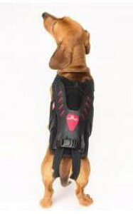 【ネコポス選択で全国送料250円】(anifull)わんコル With 専用カバー ブラック 犬用 コルセットカバー 《Sサイズ》中型犬用 椎間板 ヘルニア事故 骨折