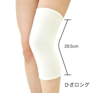 ylR|XIőS250~z^CvT|[^[ V[XE[uhT|[^[@G ЂO T|[^[ ۉ