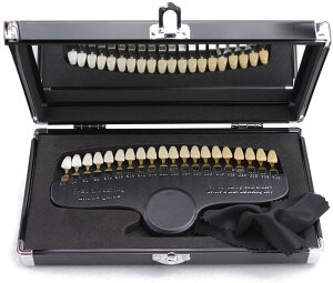 BIMU ̖͌^  VF[hKCh zCgjO  p F{ ͌^ 20F [P[Xt