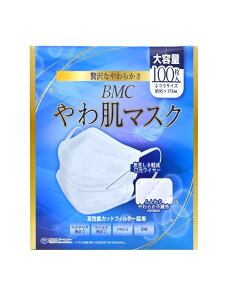 BMC 픧}XN 1g^Cv ӂTCY e 100