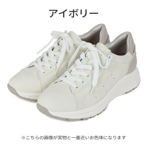 fB[X Xj[J[ C JOLICOINSport WRAX|[c ORL32 _炩 炭 3E EEE 蕝 O y