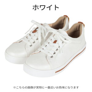 yŏIizy݌v1˔jzfB[X Xj[J[ C JOLICOINSport WRAX|[c ORL13 TCY قǌy _炩 3E EEE 蕝 O b y 22cm