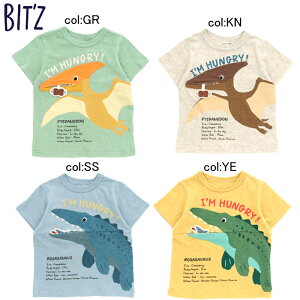 y40%off SALEzyBIT'Z rbczB2070734F2vgM~bNTVcvemhƃTTEX̃M~bNI傫̃vgIyxr[LbYz[։