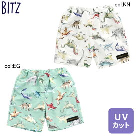 【20%off SALE】【BIT'Z ビッツ】B276063◇恐竜図鑑総柄トランクス水着◇図鑑風に描いたカラフルでリアルな恐竜さんがとってもカッコイイ！【ベビー＆キッズ服】◎メール便可