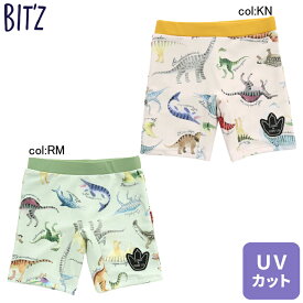 【20%off SALE】【BIT'Z ビッツ】B276033◇恐竜図鑑総柄ボクサー水着◇リアルな恐竜さんがとってもカッコイイ！【ベビー＆キッズ服】◎メール便可