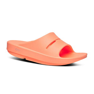 E[tHX/OOFOS OOahhiE[A[jJo[T_[T_/Xbp/Jo[V[Y/X|[c/jO/}\/gbLO/nCLO/jZbNX]