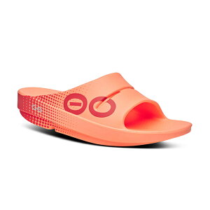 E[tHX/OOFOS OOahh SportiE[A[X|[cj[T_/Xbp/Jo[V[Y/X|[c/jO/}\/gbLO/nCLO/jZbNX]