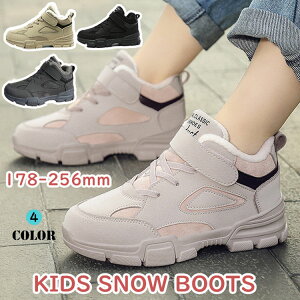 Xm[u[c LbY fB[X Y V {A j̎q ̎q lp   C ubN sN J[L O[ h  qC Ou[c ~C ȌC N g 