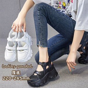 T_ fB[X T_ Cq[ vbgtH[V[Y nCq[8cm X|[cT_ ~[ Xj[J[ {v C V[Y ₷ ʋC ČC ʋ  30