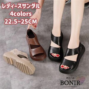 fB[X T_ RtH[g 5.5cmq[ h y NbVQ ɂȂ ɂ JWA ăr[T ₷ 20 30 40 v[g ʋC ČC s  ʋ