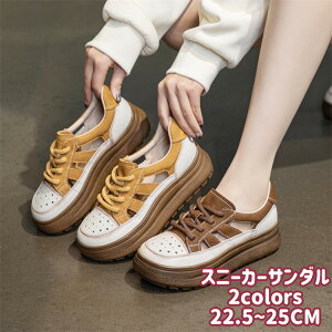 fB[X Xj[J[ T_ X|[cT_ {v v ؊v RtH[g 5cmq[ h y NbV ɂȂ ɂ JWA ₷ 20 30 40 50 ̓ v