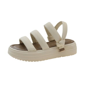 fB[X T_ r x[W ubN X|[cT_ Xb| fB[X ₷  T_ y ʋC T_ Ȃ ɂ IV EH[L