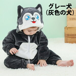 qp  pW} [EFA t[ht LbY nEB ߑ  RX`[ RXv ӂ g H~  v[g |j[ Lbg nlY~ Ck 