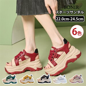 T_ fB[X Xj[J[ v nCq[7.5cm  X|[cT_ T_ vbgtH[V[Y r[`T_ T_ fB[XT_ ؂ C V[Y